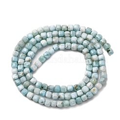Natural Larimar Beads Strands&nbsp;G-F803-C01-02