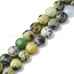 Natural Serpentine Beads Strands&nbsp;G-C179-A48-03