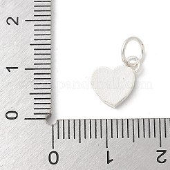 S925 Sterling Silver Pendant&nbsp;STER-H115-05B-S01