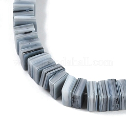 Handmade Lampwork Beads Strands&nbsp;LAMP-Q037-02B-06