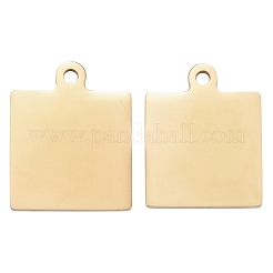 304 Stainless Steel Pendants&nbsp;STAS-I140-23B-G