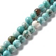 Natural Magnesite Beads Strands&nbsp;G-L555-02C-02-6