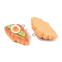 Opaque Resin Imitation Food Pendants&nbsp;RESI-P049-01B-P