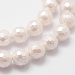 Shell Pearl Bead Strands&nbsp;BSHE-L029-01-6mm