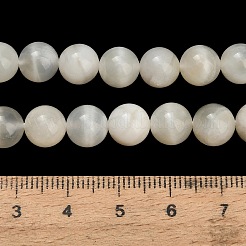 Natural White Moonstone Beads Strands&nbsp;G-L664-A01-8mm