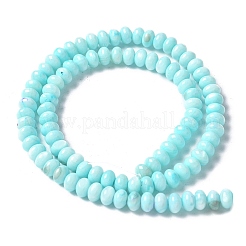 Natural Freshwater Shell Beads Strands&nbsp;SSHEL-C013-07B