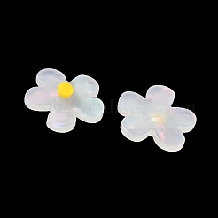 Opaque Acrylic Pendants&nbsp;FIND-K024-02B