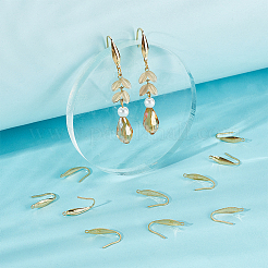 50Pcs 316 Surgical Stainless Steel Earring Hooks&nbsp;STAS-UN0058-31