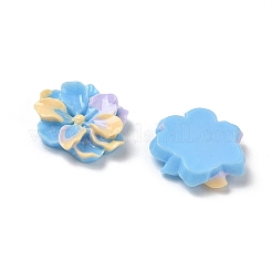 Opaque Resin Cabochons&nbsp;RE-F001-02
