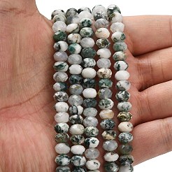 Natural Tree Agate Beads Strands&nbsp;G-Z111-A46