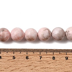 Natural Pink Zebra Jasper Beads Strands&nbsp;G-P231-01-10mm