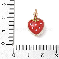 Alloy with Enamel Pendants&nbsp;LS-AL-CBA7219-01C