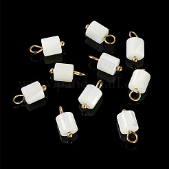 10Pcs Natural Shell Column Charms&nbsp;SHEL-TA0001-38