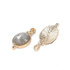 Natural Labradorite Faceted Pendans&nbsp;KK-L218-003G-03