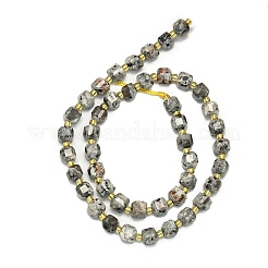 Natural Syenite Beads Strand&nbsp;G-I376-D17-01