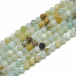 2 Strands Natural Flower Amazonite Beads Strands&nbsp;G-NB0004-59