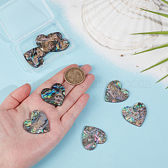 8Pcs Natural Paua Shell/Abalone Shell Pendants&nbsp;SHEL-BC0001-048A