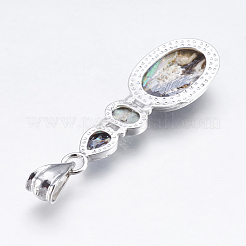 Abalone Shell/Paua Shell Pendants&nbsp;SSHEL-P014-19