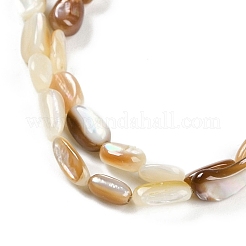 Natural Seashell Beads Strands&nbsp;BSHE-H109-09