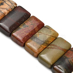 Natural Polychrome Jasper/Picasso Jasper Beads Strands&nbsp;G-H354-01C-01