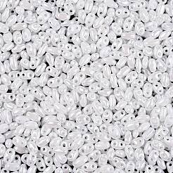 Opaque Colours Luster Glass Seed Beads&nbsp;SEED-T006-02L
