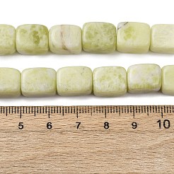 Natural Jade Beads Strands&nbsp;G-D098-D13