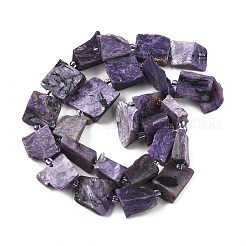 Natural Charoite Beads Strands&nbsp;G-D101-B17