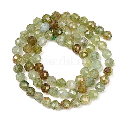 Natural Green Garnet Beads Strands&nbsp;G-B175-D12-5mm