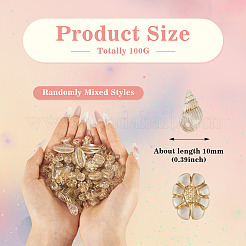 100G Transparent Acrylic Beads&nbsp;OACR-BT0001-07E