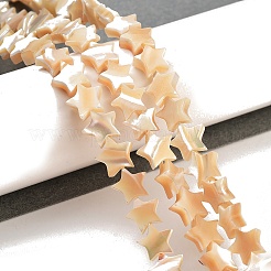 Star Natural White Shell Beads Strands&nbsp;BSHE-Q025-14B