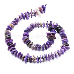 Natural Charoite Beads Strands&nbsp;G-E569-K04