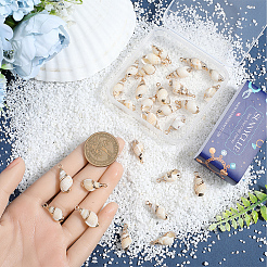 30Pcs Electroplated Spiral Shell Pendants&nbsp;SSHEL-SC0001-29B