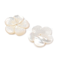 Natural White Shell Carved Beads&nbsp;SSHEL-I026-12F-07