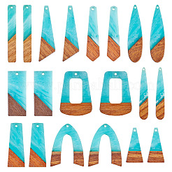 20Pcs 10 Styles Resin & Wood Pendants&nbsp;WOOD-TA0002-67D