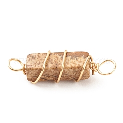 Natural Picture Jasper Connector Charms&nbsp;PALLOY-JF01580-04