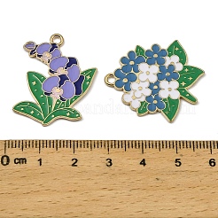 Alloy Enamel Pendants&nbsp;FIND-I064-06G-02