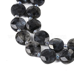 Natural Larvikite Beads Strands&nbsp;G-C116-A45-01