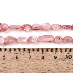Natural White Shell Beads Strands&nbsp;SHEL-N036-21G