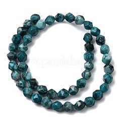 Natural Map Stone Beads Strands&nbsp;G-Z119-A23-02