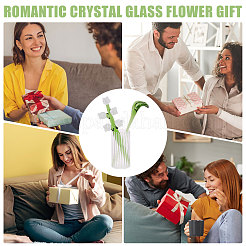 2Pcs Glass Flower Display Decorations&nbsp;AJEW-CO0001-04A