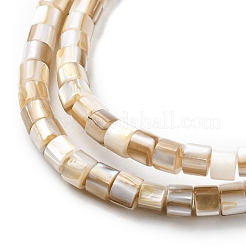 Natural Freshwater Shell Beads Strands&nbsp;X-SHEL-R129-05