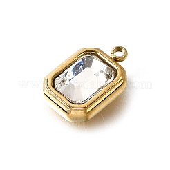 304 Stainless Steel Charms&nbsp;STAS-F318-13G