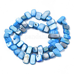 Natural Trochid Shell/Trochus Shell Beads Strands&nbsp;SHEL-S258-082