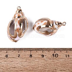 Electroplated Golden Brass Edged Natural Spiral Shell Pendants&nbsp;SSHEL-Q101-03