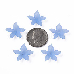 Transparent Acrylic Beads&nbsp;MACR-S373-127-D04