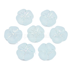 Frosted Transparent Acrylic Beads&nbsp;LS-OACR-P029-19B-06