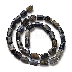 Natural Lapis Lazuli Beads Strands&nbsp;G-K245-I21-01