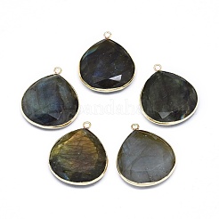 Natural Labradorite Pendants&nbsp;G-E526-05A