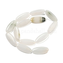 Natural Jade Beads Strands&nbsp;G-B078-E03-01