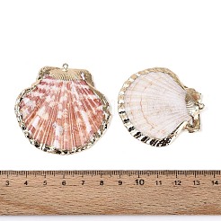Electroplate Natural Sea Shell Pendants&nbsp;SSHEL-T018-17